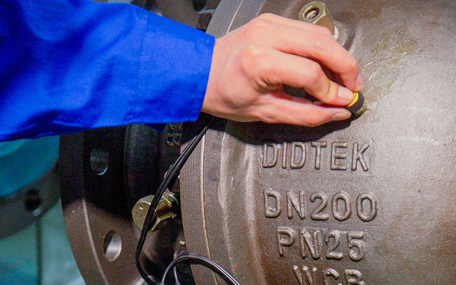 Ultraschall-Schwiegerelement-Detektor